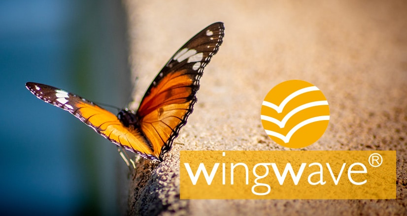 WingWave Seminar